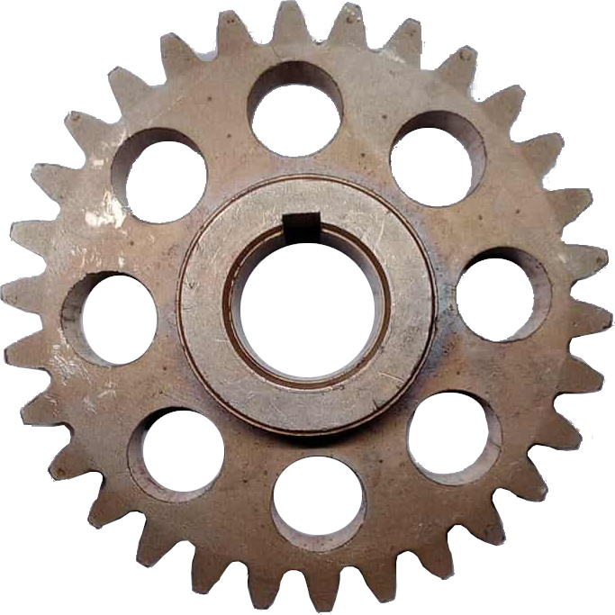 Γρανάζι Ø19 με 30 δόντια για χλοοκοπτικό τρακτέρ Bolens (αυθεντικό)